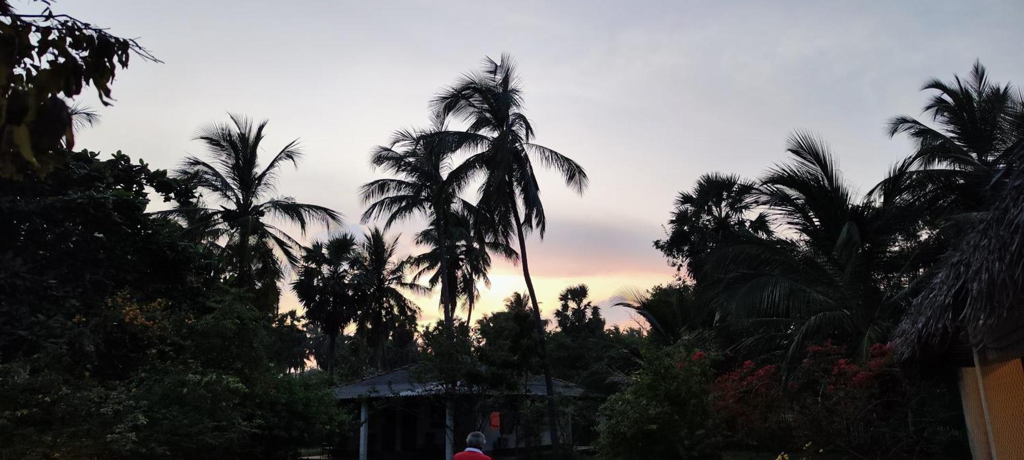 108 Palms Beach Resort ตรินโคมาลี ภายนอก รูปภาพ