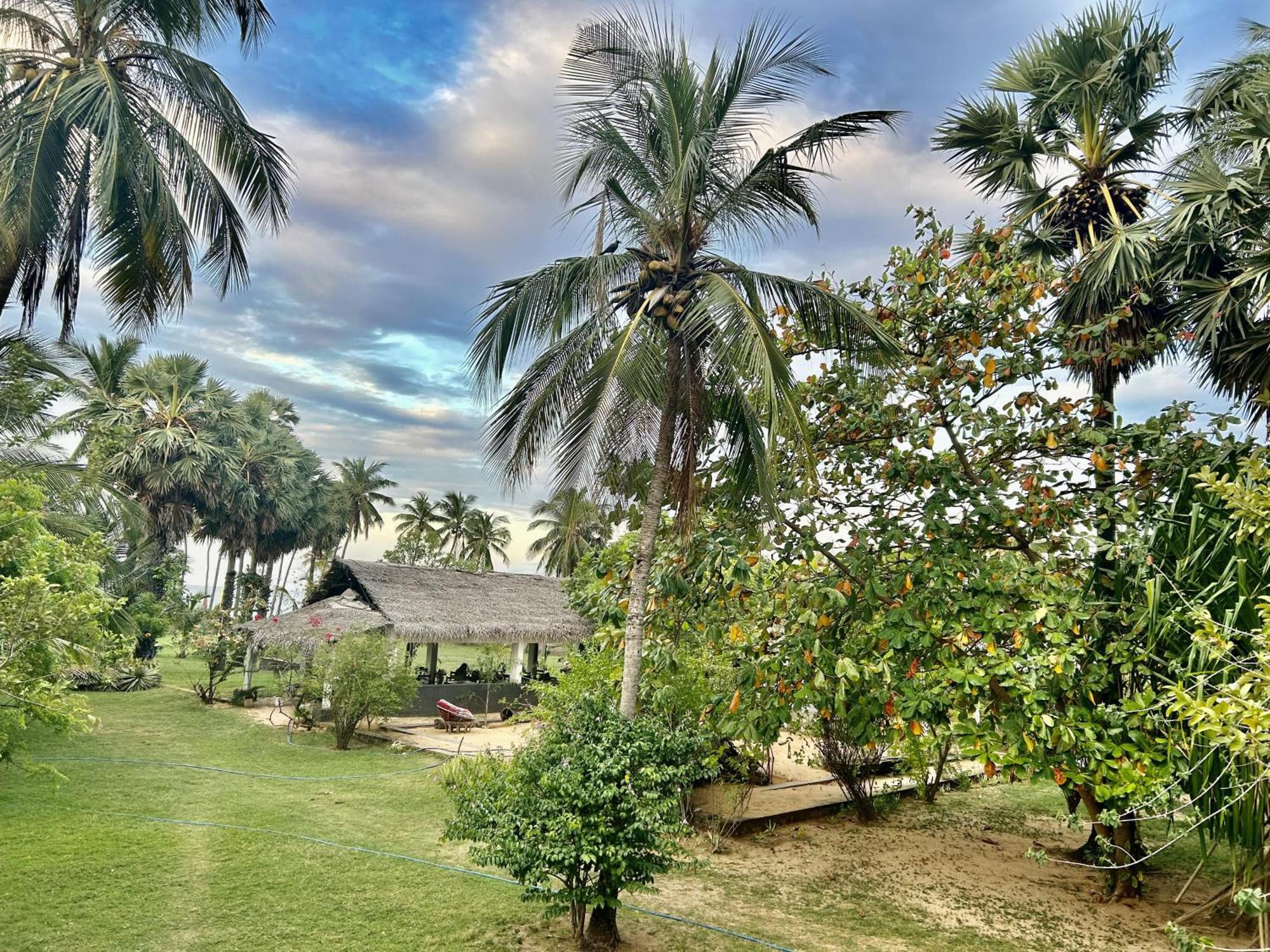 108 Palms Beach Resort ตรินโคมาลี ภายนอก รูปภาพ